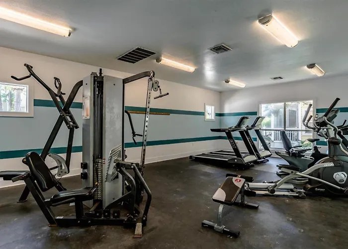 No Problem 6c By Pkrm Apartment Pensacola